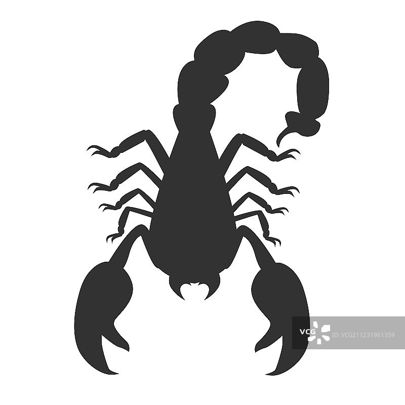 白色背景上的蝎子图片素材