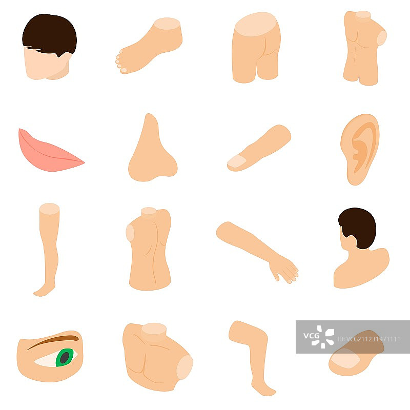 人体部位图标集2.5D风格图片素材