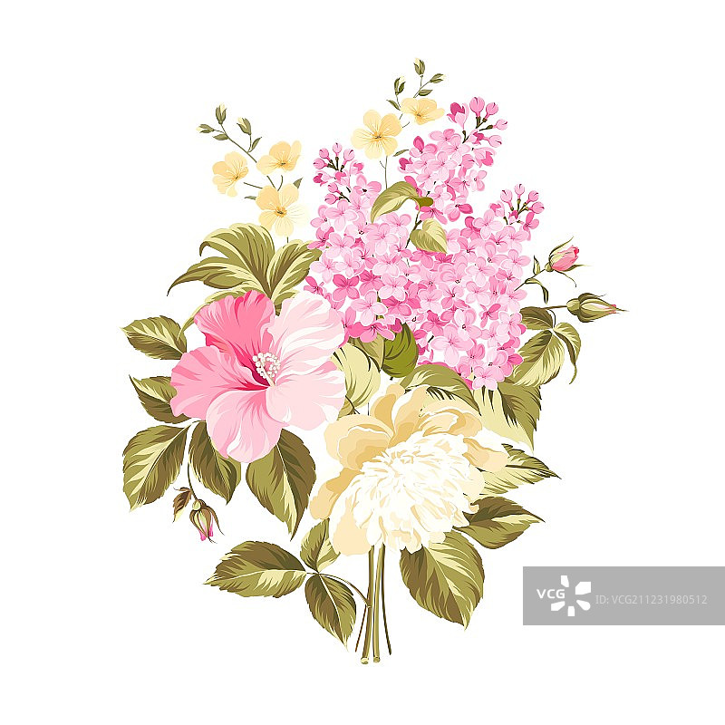 春季丁香花图片素材