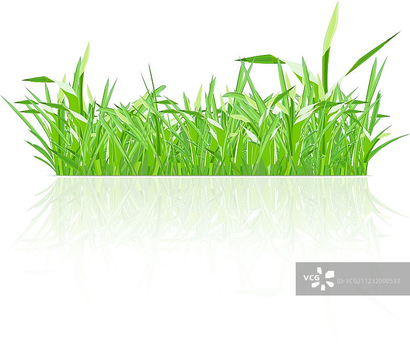 绿草图片素材