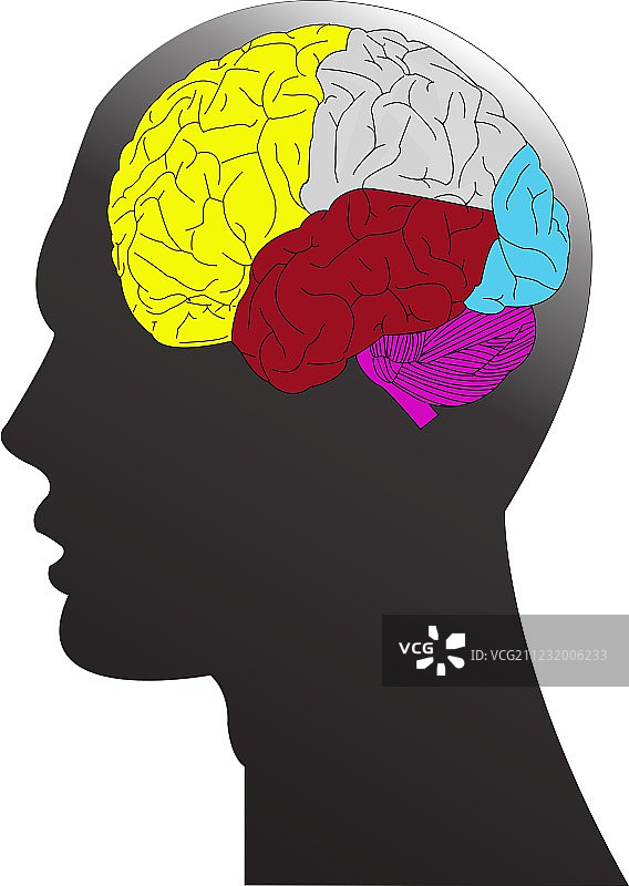 虎门与大脑图片素材