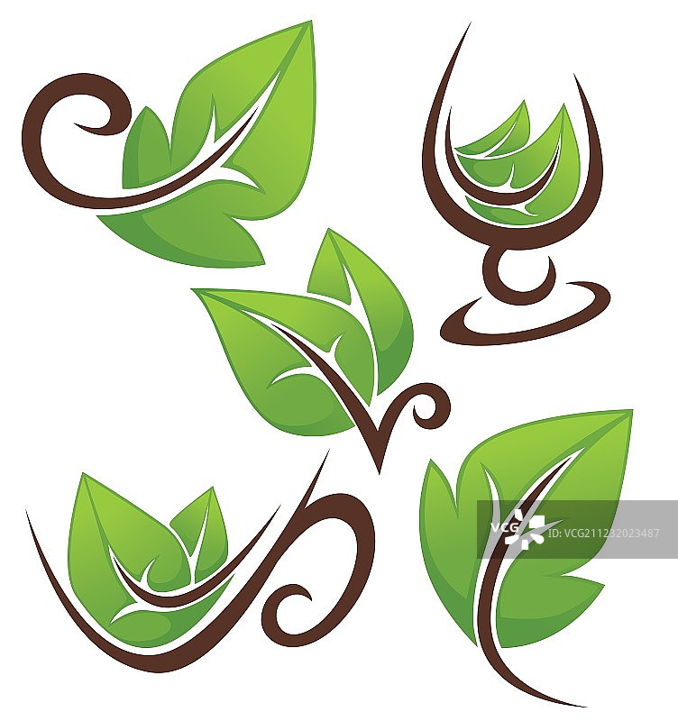 树叶和杯子图片素材