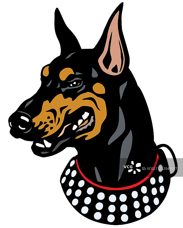 杜宾犬头部图片素材