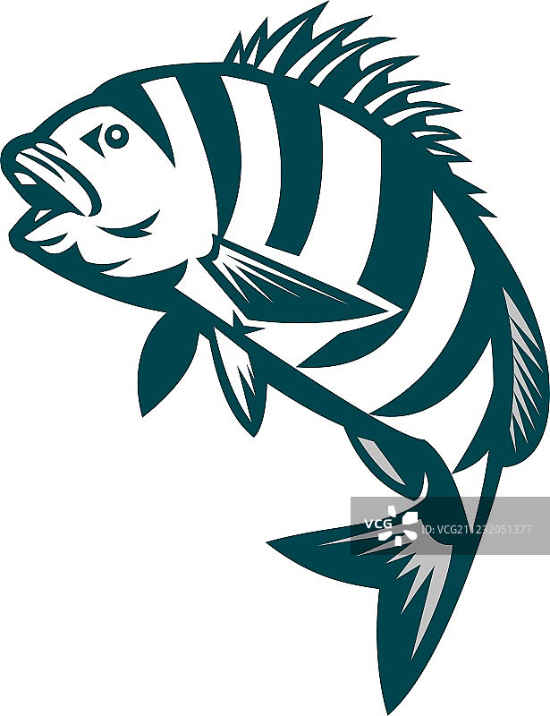 跃起的羊头鱼复古风图片素材