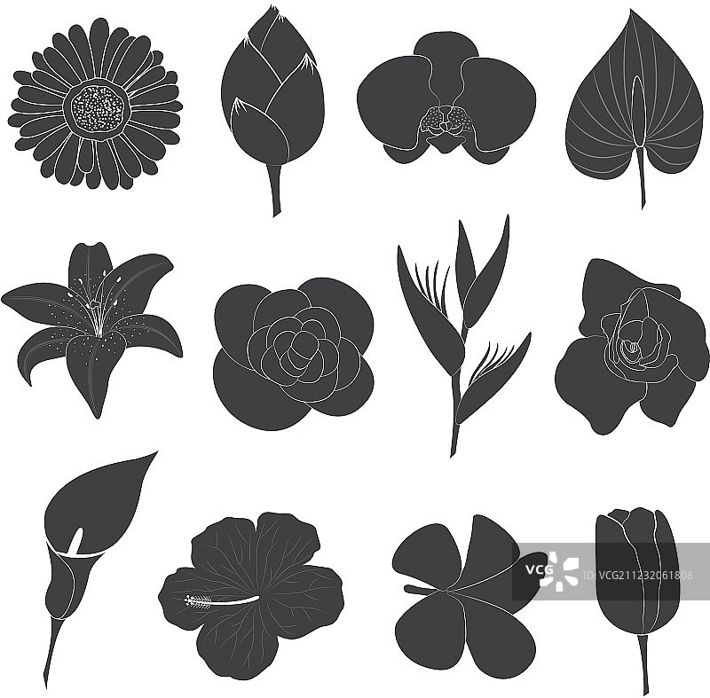 花朵图标合集图片素材