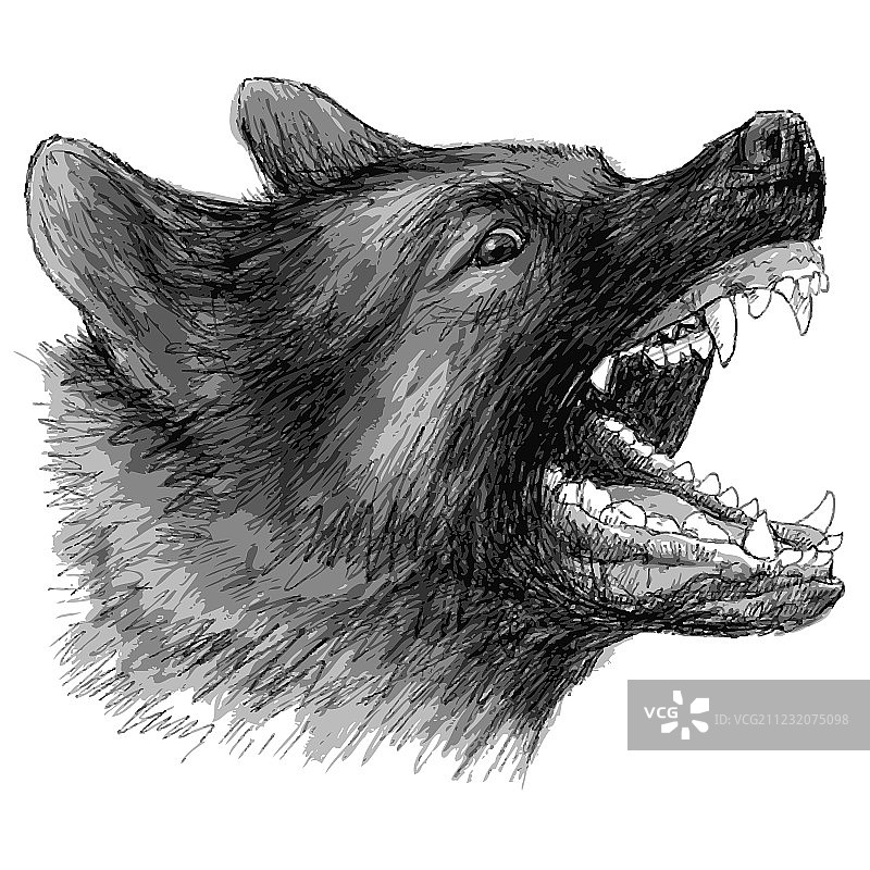 愤怒的德国牧羊犬2图片素材