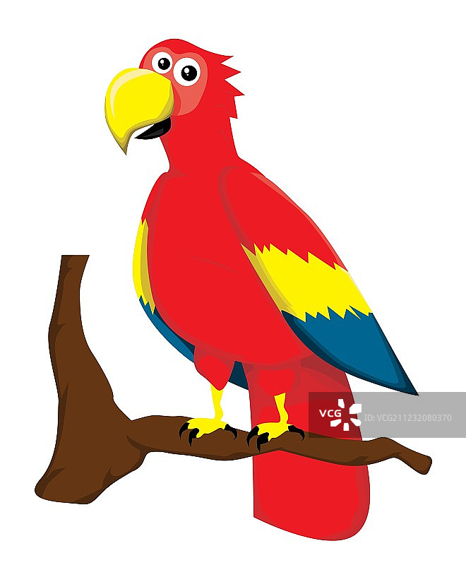 鹦鹉图片素材