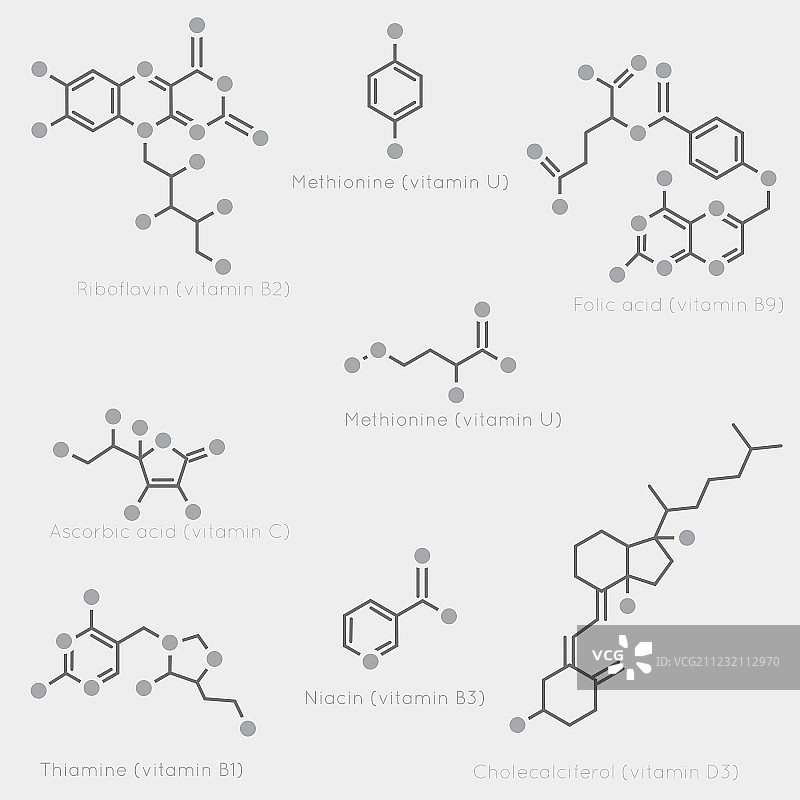 维生素骨骼式图片素材