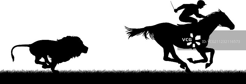 狮子追逐赛马图片素材