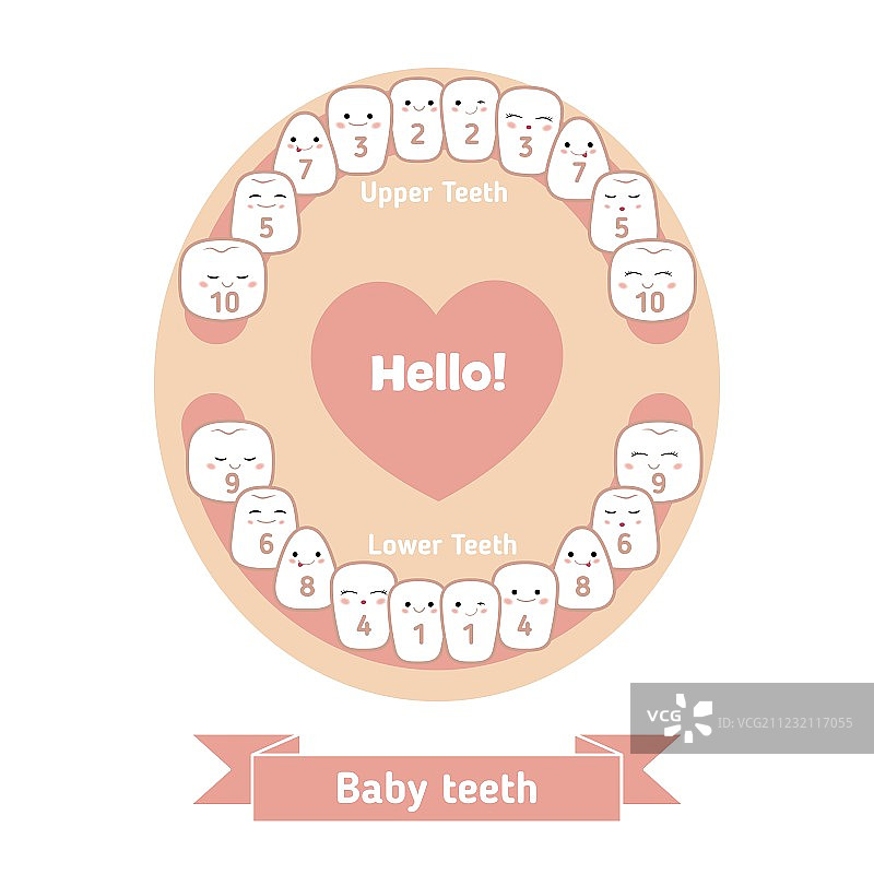 宝宝出牙图表图片素材