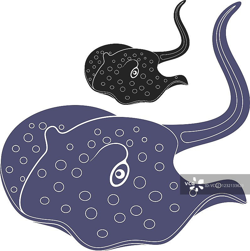 黄貂鱼图片素材