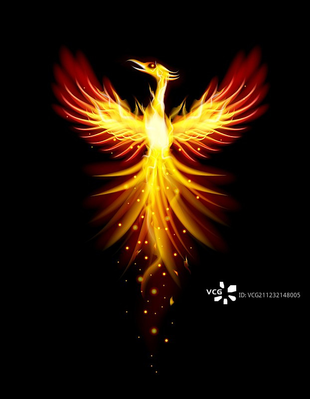 凤凰鸟图片素材