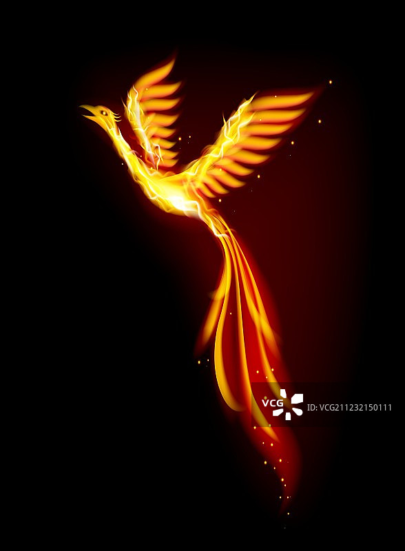 凤凰鸟图片素材