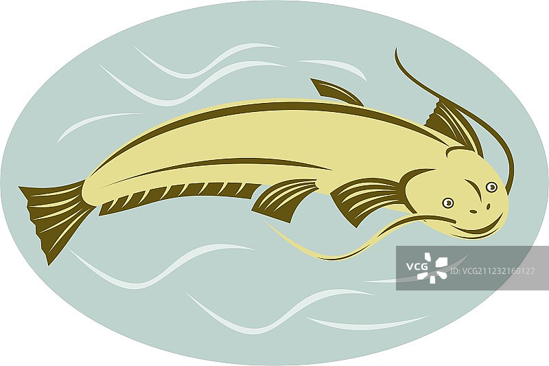 跳跃的鲶鱼图片素材