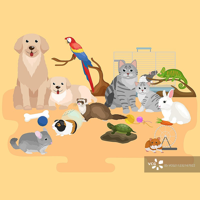 家养宠物套装：猫、狗、鹦鹉、金鱼、仓鼠图片素材