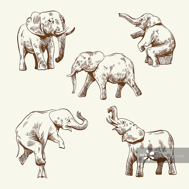 手绘大象合集图片素材