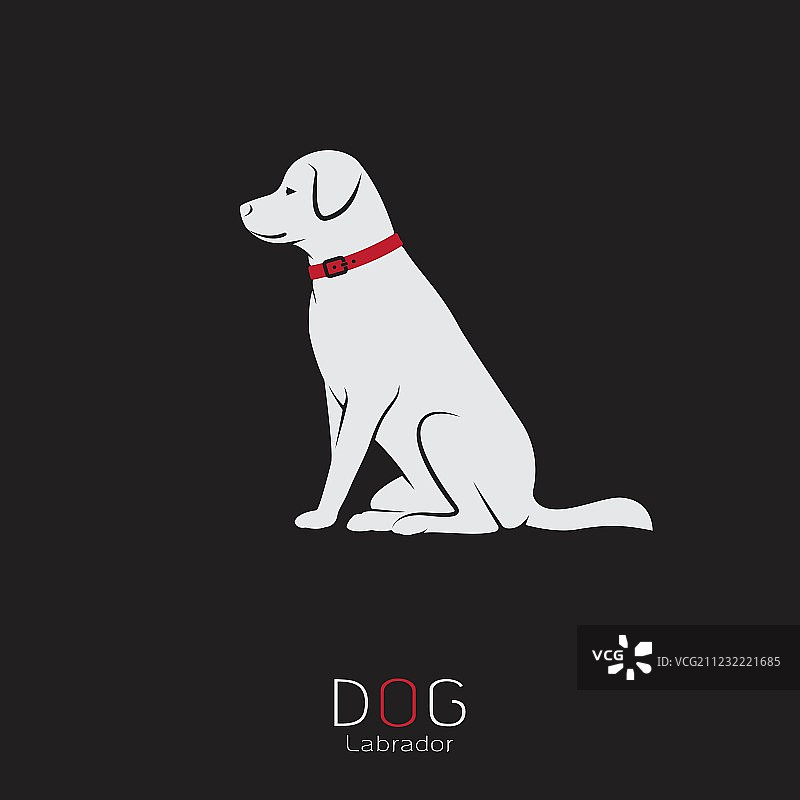 拉布拉多犬图片素材