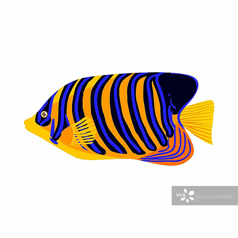 高帆刺尾鱼卡通风格图标图片素材