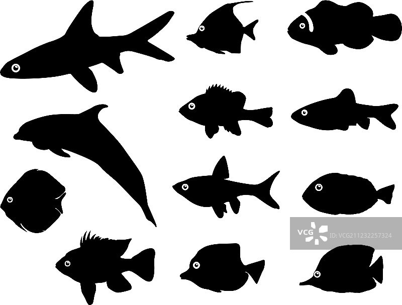 鱼类剪影图片素材