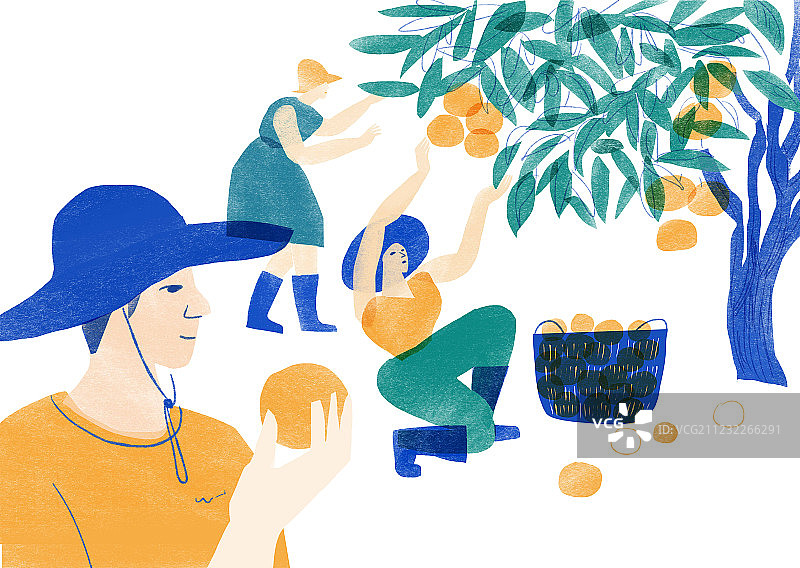 果园里采摘的人们插画插图图片素材