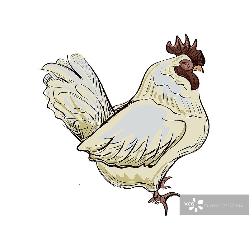 涂鸦矮脚鸡图片素材