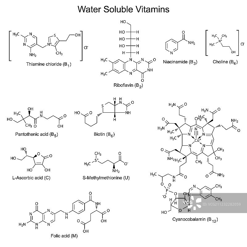 水溶性维生素的结构式图片素材