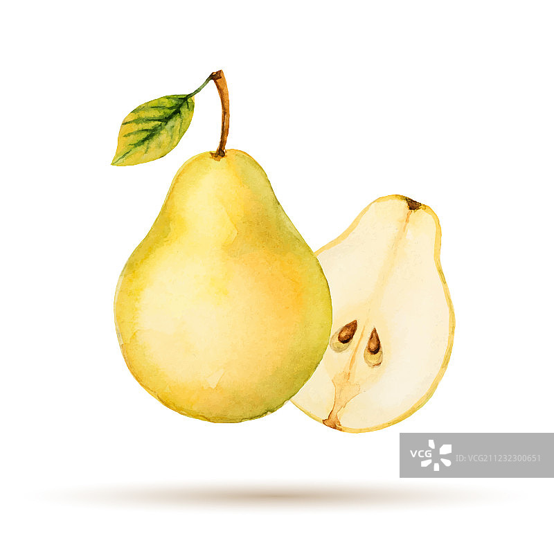 手绘水彩梨图片素材
