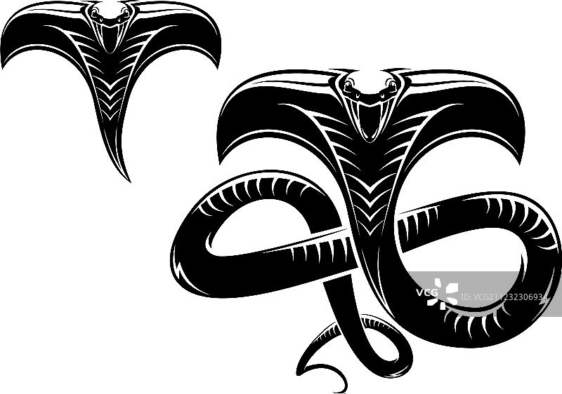 蛇纹身图片素材