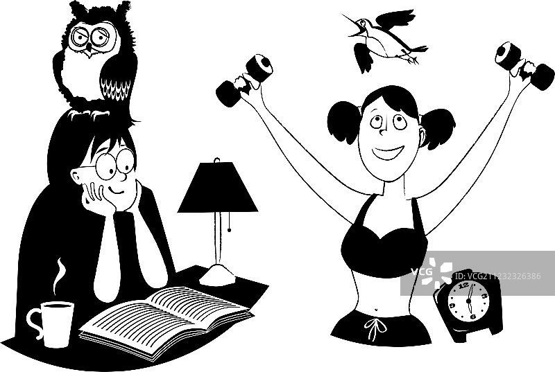 猫头鹰与云雀图片素材