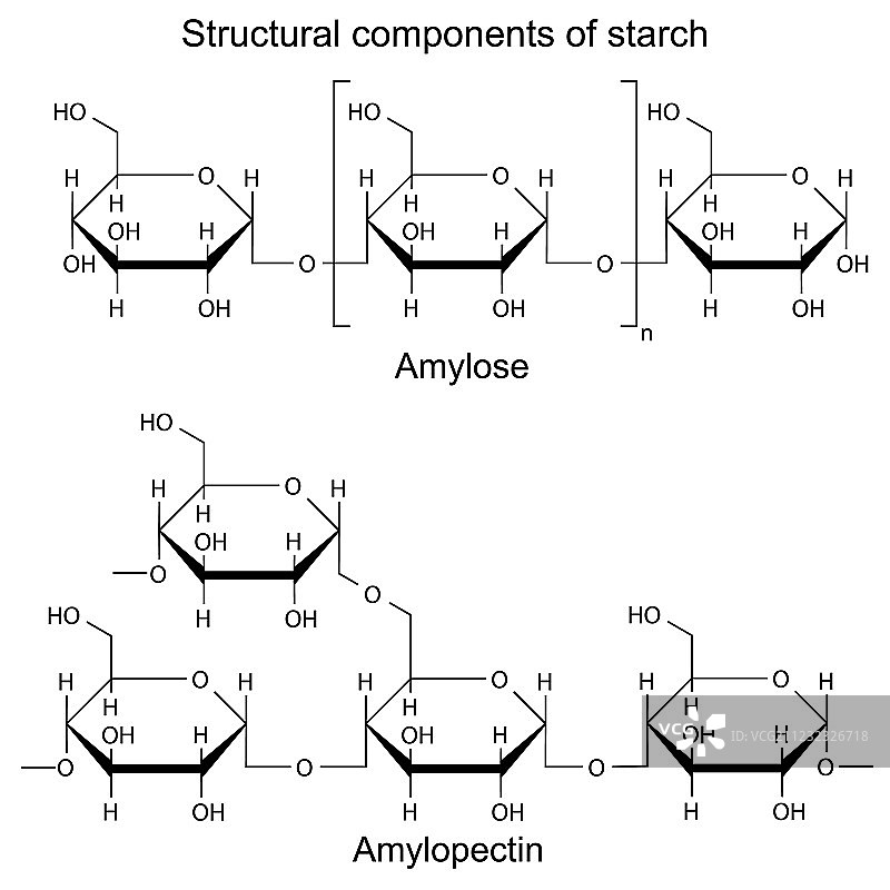 淀粉的结构成分-化学式图片素材