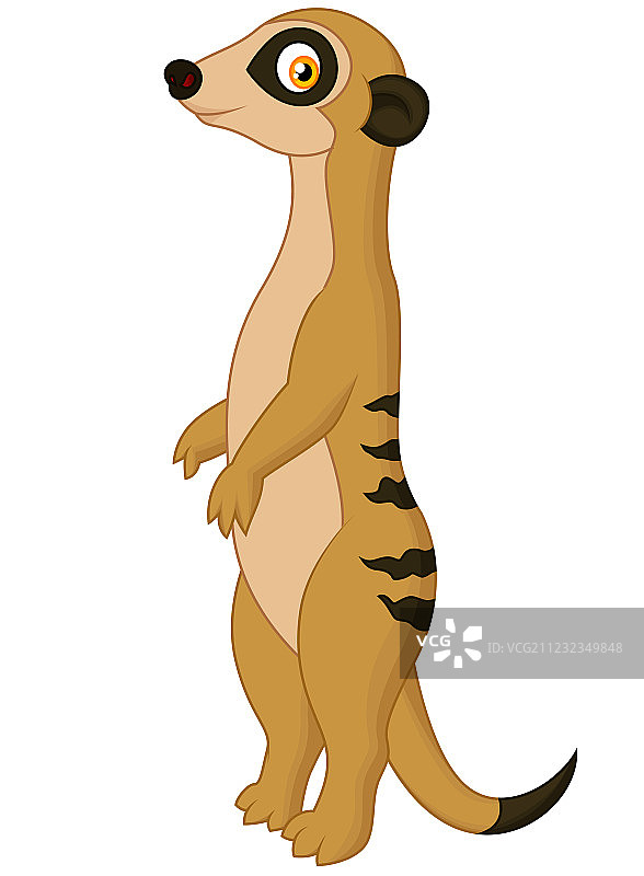 可爱的卡通猫鼬图片素材