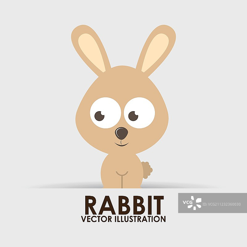 兔子设计图片素材