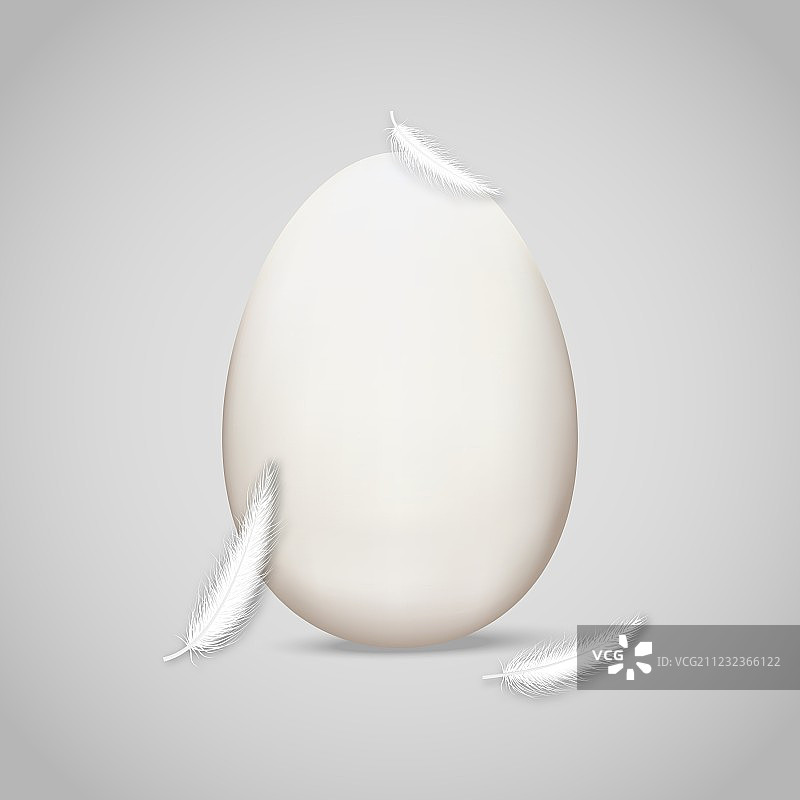 羽毛中的鸡蛋图片素材