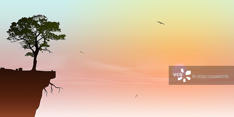 悬崖上的树图片素材