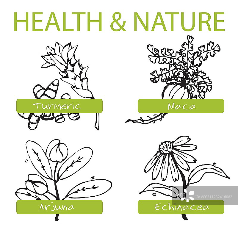 手绘套装：健康与自然系列图片素材