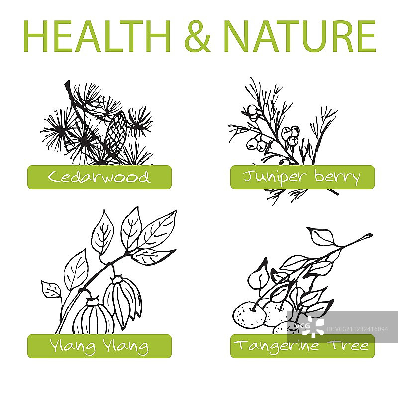 手绘套装：健康与自然系列图片素材
