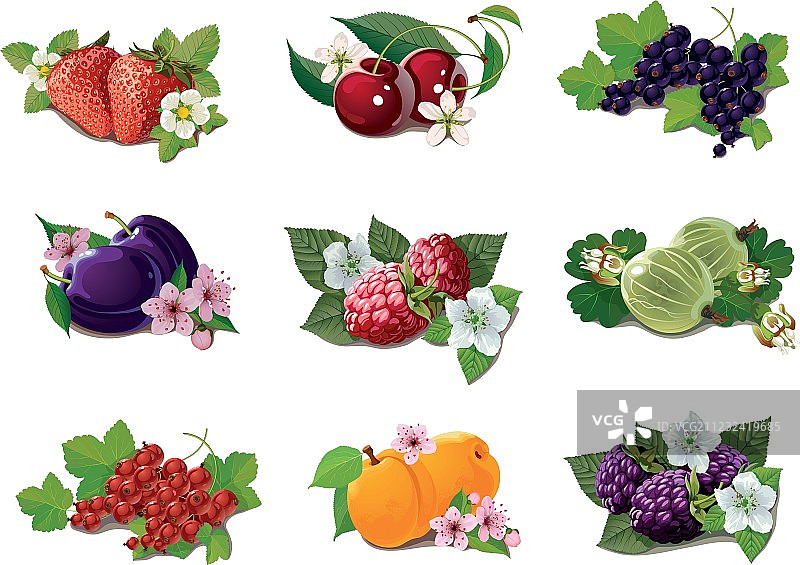 成熟水果套装图片素材