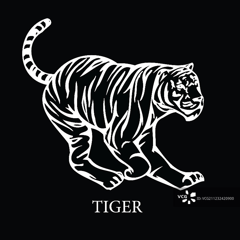 野生老虎图片素材