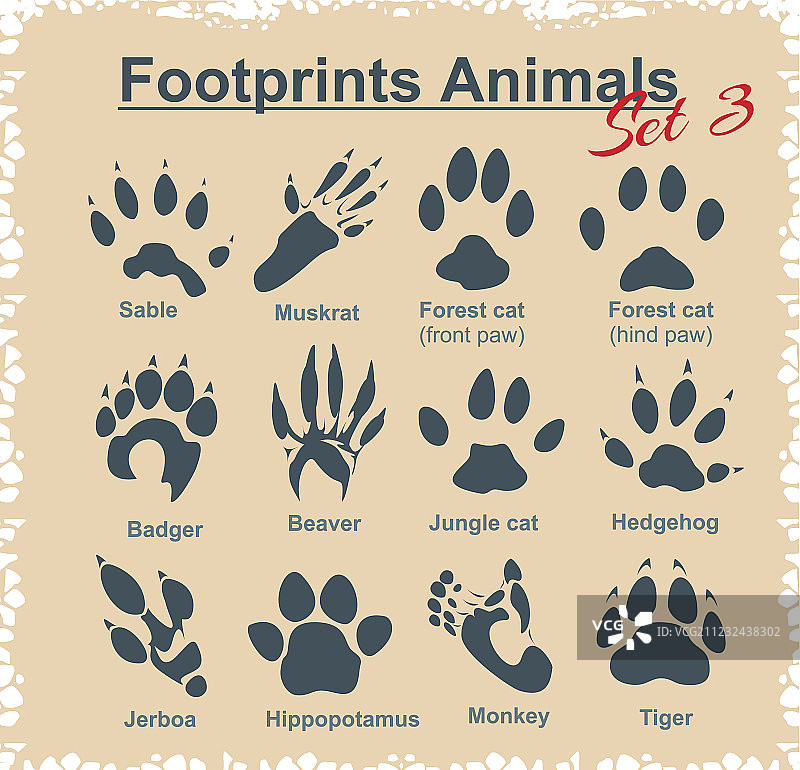 动物脚印合集图片素材