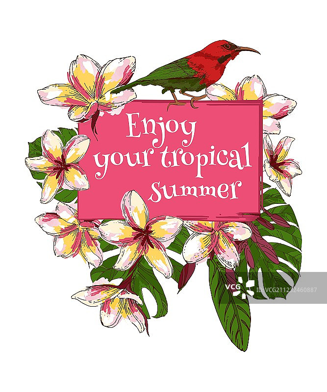 夏季手绘复古花卉卡片图片素材