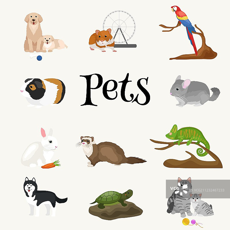 家养宠物套装：猫、狗、鹦鹉、金鱼、仓鼠图片素材