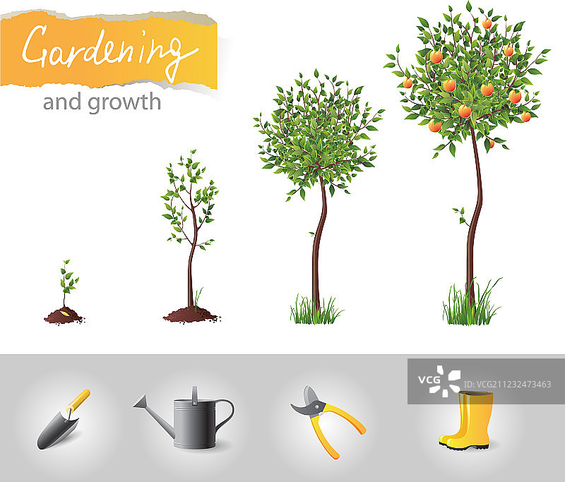 园艺与植物生长图片素材