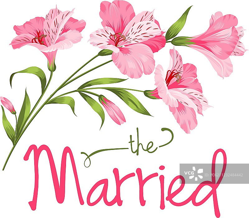 结婚贺卡图片素材