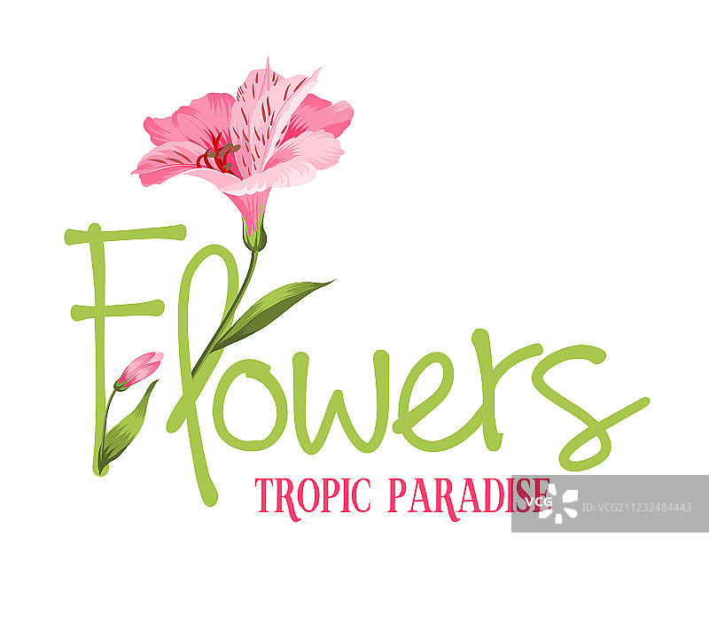 热带乐园图片素材