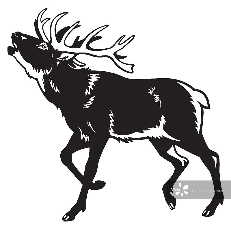 黑白红鹿图片素材