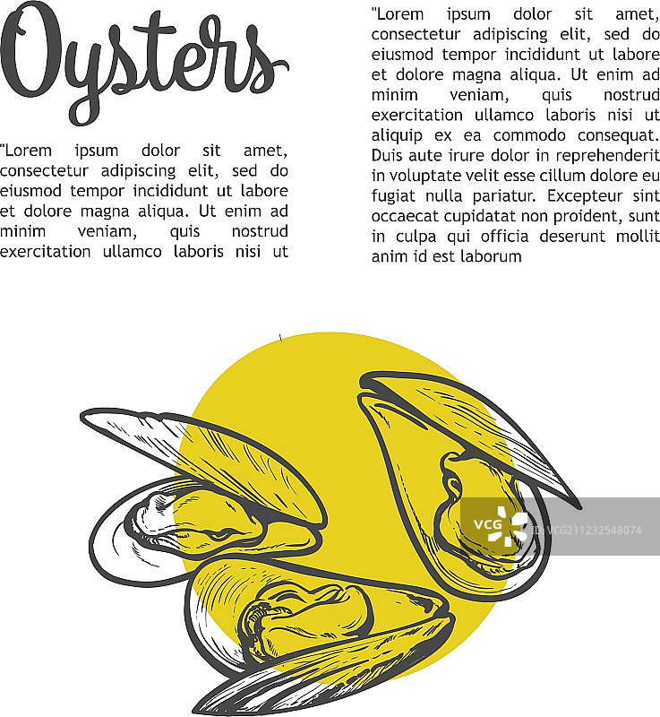 新鲜的海产牡蛎图片素材