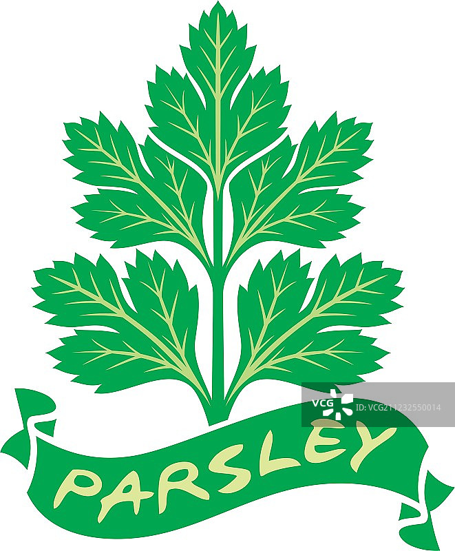 欧芹标签图片素材