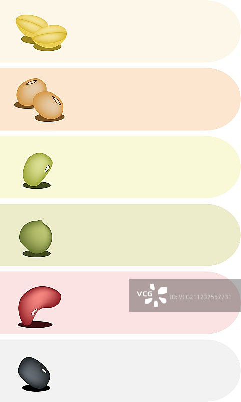 各式豆类banner图片素材