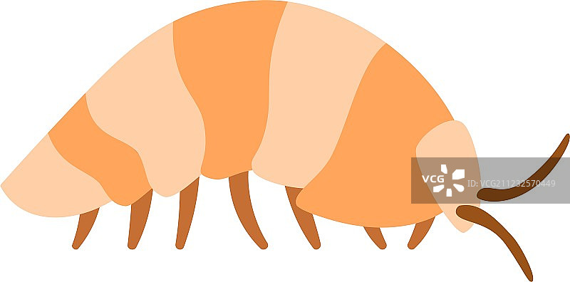 甲虫、鼠妇外骨骼图片素材