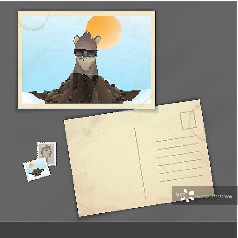 快乐土拨鼠日图片素材